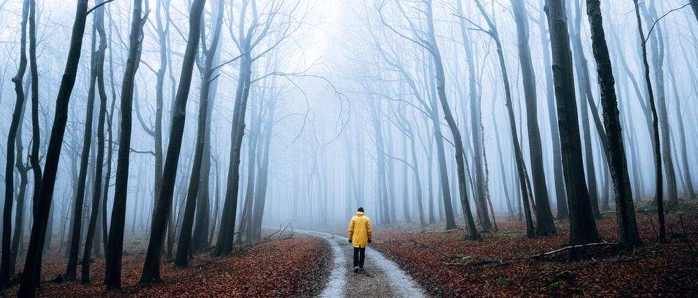 Eine Person läuft bei Nebel durch einen herbstlichen Wald.