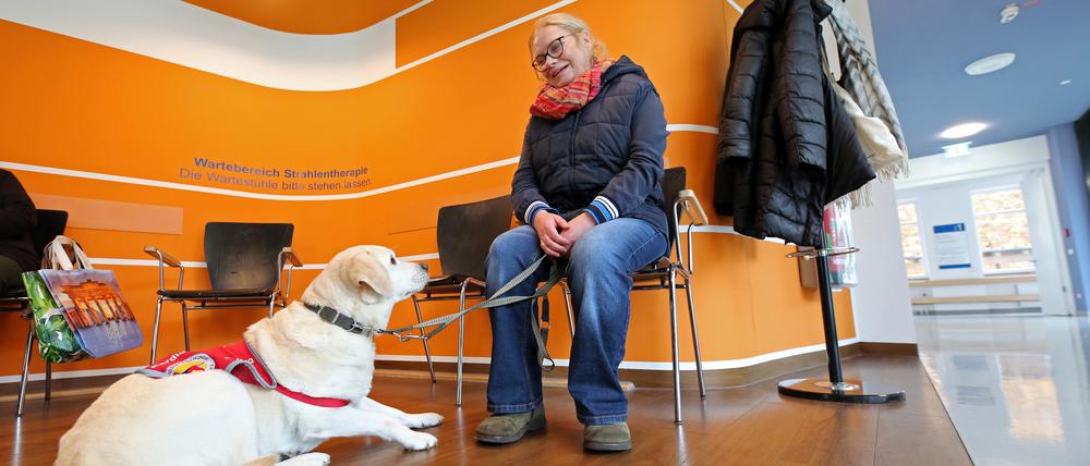 Manja Maserati und ihre Assistenzhündin Mascha sind im Bergmann-Klinikum herzlich willkommen, anderswo werden sie oft abgewiesen.