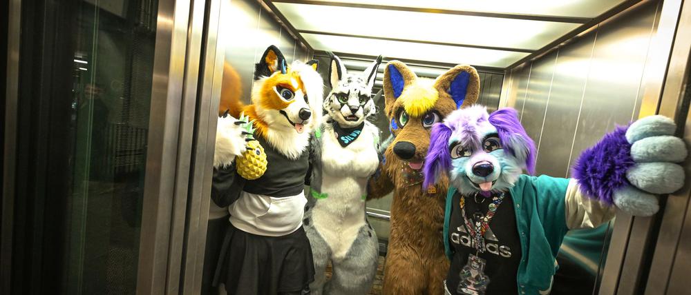 Etwa 100.000 Menschen gehören Schätzungen zufolge mittlerweile dem Furry Fandom in Deutschland an - Tendenz steigend. (Archivbild)