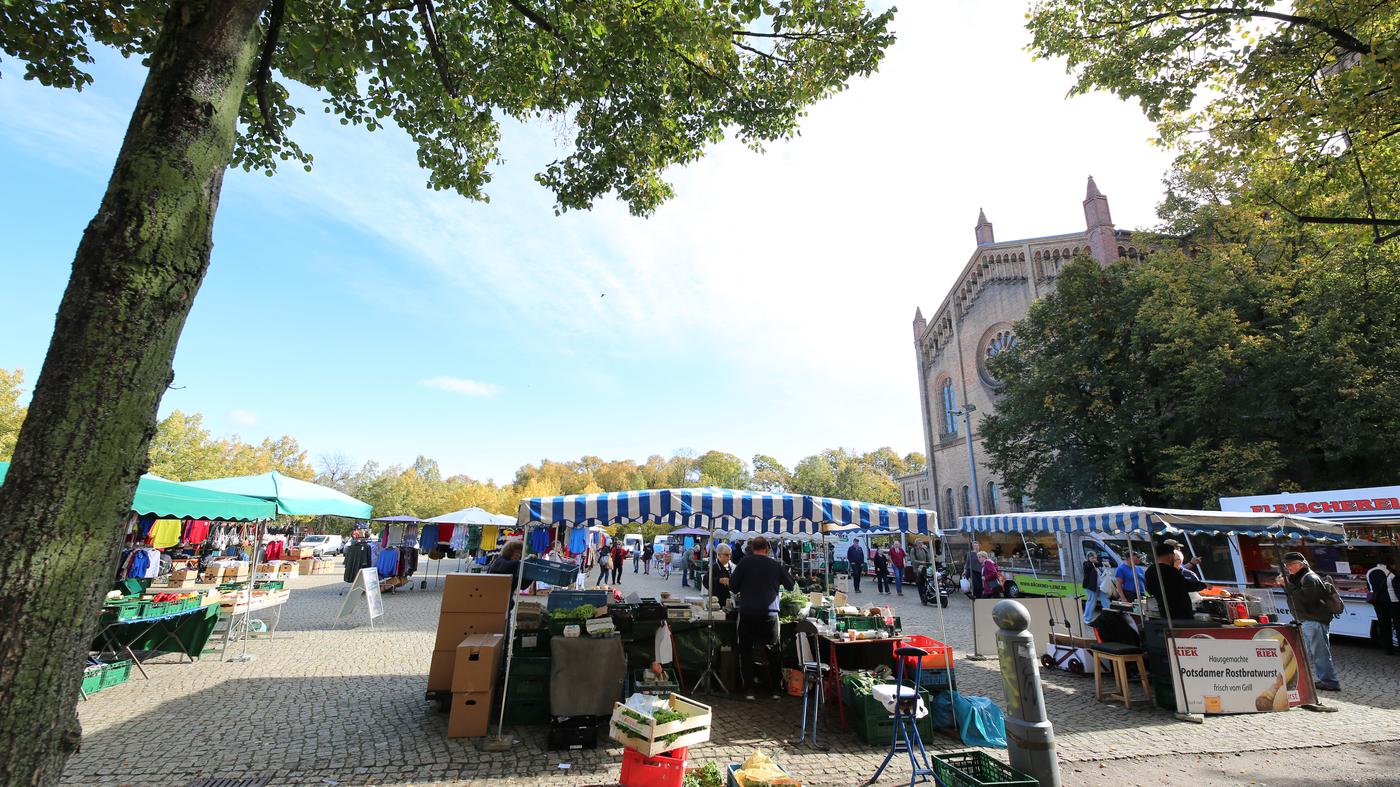 Wissenschaft-auf-dem-Bassinplatz-Forschende-der-Uni-Potsdam-laden-zum-B-rgerdialog-ein