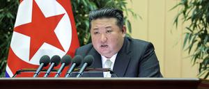 Nordkoreas Diktator Kim Jong Un. 