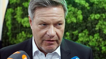 Robert Habeck (Bündnis 90/Die Grünen), Bundesminister für Wirtschaft und Klimaschutz, und Spitzenkandidat der Grünen für die Bundestagswahl 2025, spricht auf der Weltklimakonferenz. 