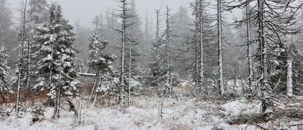 Schnee auf dem Brocken. (Archivbild)