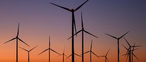 SPD und BSW halten die Bedenken des Klimabündnisses nicht für gerechtfertigt (Archivbild).