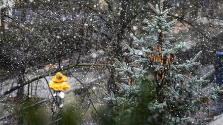 Erster Schnee in Karlshorst