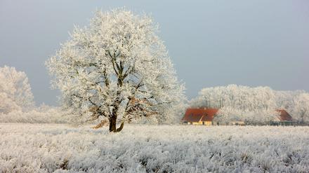 Träumen von der weißen Weihnacht. Viele Menschen verbinden eine bestimmte Sehnsucht mit Schnee, sagt Schriftstellerin Amy Waldman.