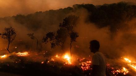 Der Waldbrand in der Nähe der griechischen Stadt Alexandroupolis im Jahr 2023 war der größte bisher registrierte Brand in Europa. (Archivbild)