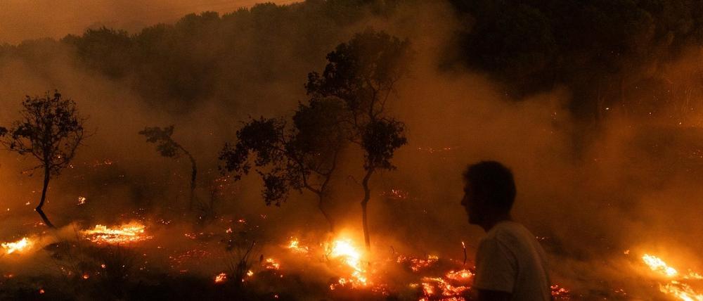 Der Waldbrand in der Nähe der griechischen Stadt Alexandroupolis im Jahr 2023 war der größte bisher registrierte Brand in Europa. (Archivbild)