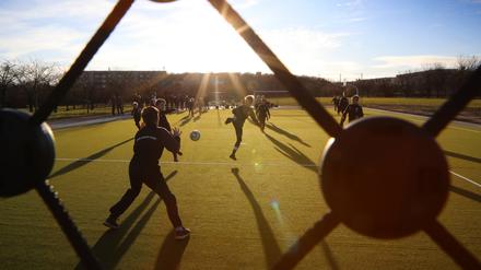 Neue Sportanlage im Volkspark Potsdam