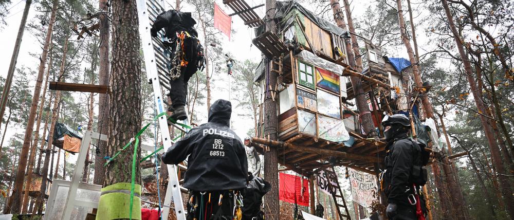 Polizeibeamte steigen während der Räumung des Camps der Aktivisten von ·Tesla stoppen!· mit einer Leiter in ein Baumhaus. 