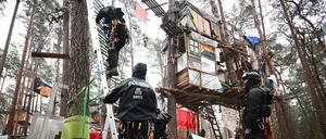Polizeibeamte steigen während der Räumung des Camps der Aktivisten von ·Tesla stoppen!· mit einer Leiter in ein Baumhaus. 