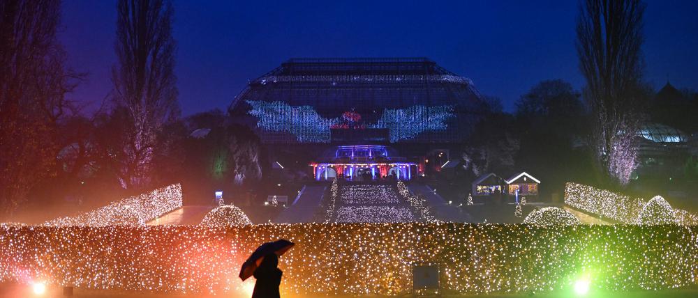 Der Botanische Garten wird wieder zum Christmas Garden.