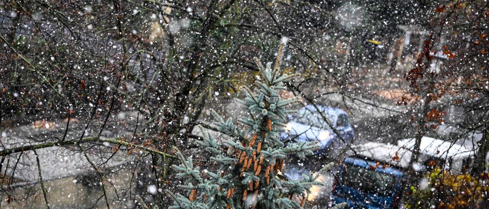 Schneeregen und einzelne Gewitter werden in Berlin und Brandenburg erwartet.