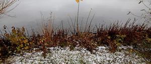 Für diesen Mittwoch erwarten die Meteorologen nasskaltes Schauerwetter und einzelne Graupelgewitter.