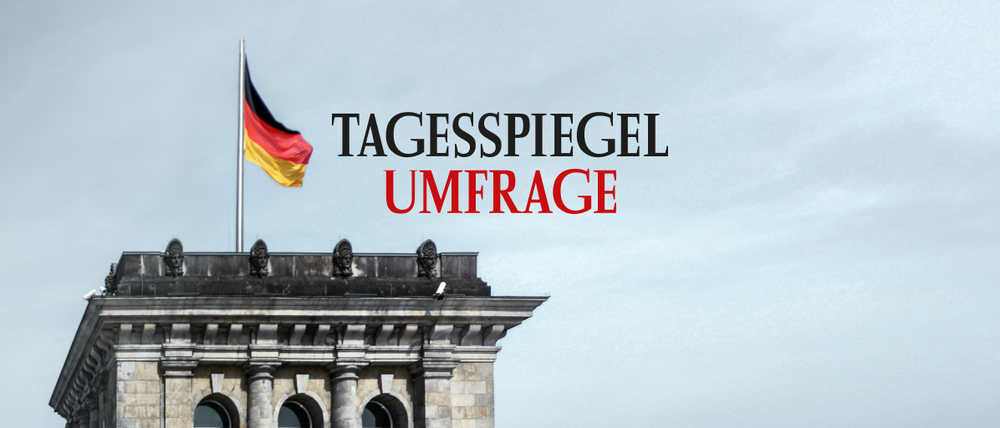 Tagesspiegel 