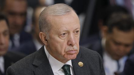Der türkische Präsident Recep Tayyip Erdogan auf dem BRICS-Gipfel.
