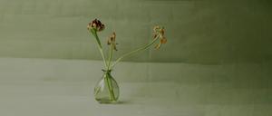 Welke Blumen vor einem grünen Hintergrund