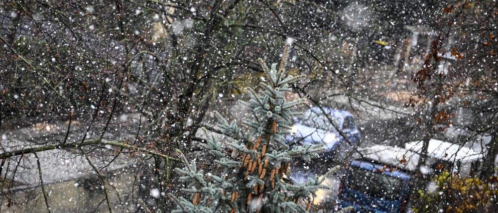 Schnee fällt in einer Straße in Karlshorst.