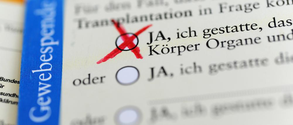 Die Rückseite eines ausgefüllten Organspendeausweises (Symbolbild).