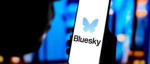 Elon Musks Eskapaden vertreiben immer mehr Nutzer von seiner Plattform X – hinüber zum Konkurrenten Bluesky.