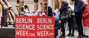 Besucher der Berlin Science Week 2022 stehen neben einem Logo-Würfel im Museum für Naturkunde. 