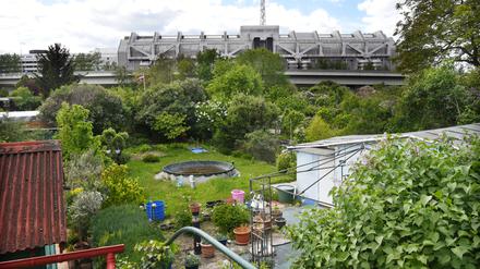 Kleingärtner und Bauern müssen in Berlin keine Grundsteuer mehr zahlen. Das soll Bürokratie sparen.