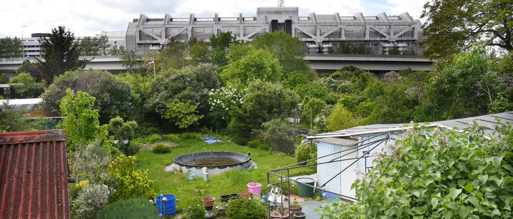 Kleingärtner und Bauern müssen in Berlin keine Grundsteuer mehr zahlen. Das soll Bürokratie sparen.