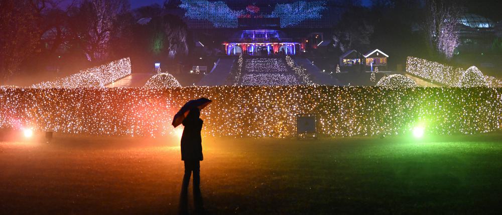 Licht in der dunklen Jahreszeit bei Christmas Garden im Botanischen Garten geöffnet.