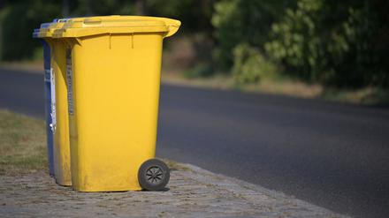 Gelbe Tonnen stehen in Potsdam an der Straße