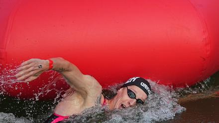 Florian Wellbrock gewinnt den Freiwasser-Weltcup in Saudi-Arabien.