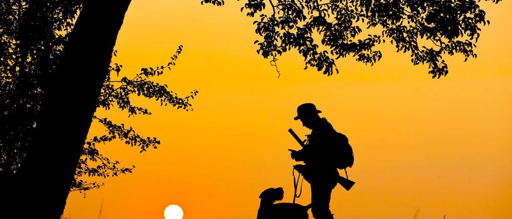 DIe Zahlen der Jagdsaison unterscheiden sich kaum zu der vorherigen. (Symbolbild)