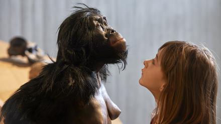 Die Entdeckung „Lucys“ versteinerter Knochen verriet viel über das Leben vor über drei Millionen Jahren.