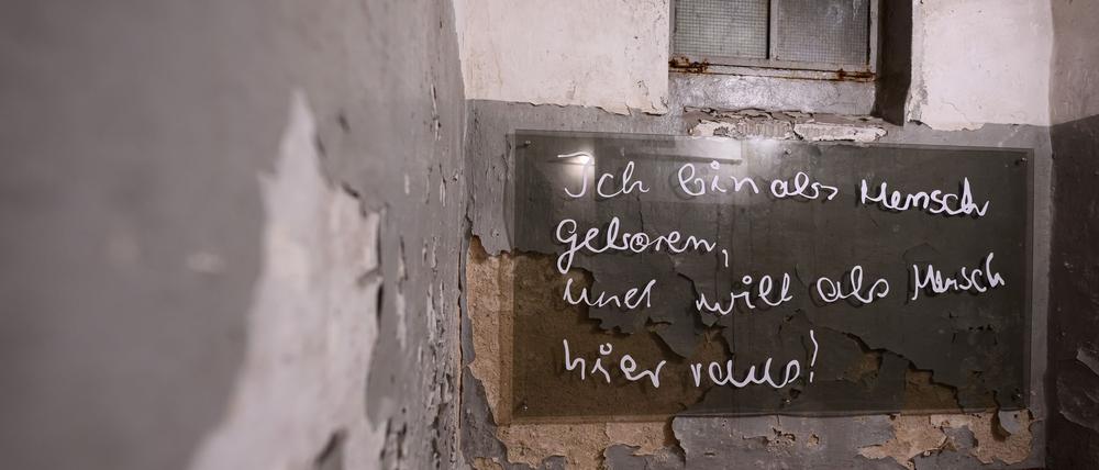 „Ich bin als Mensch geboren und will als Mensch hier raus“ lautet das Motto einer Ausstellung in der Gedenkstätte Jugendwerkhof Torgau 