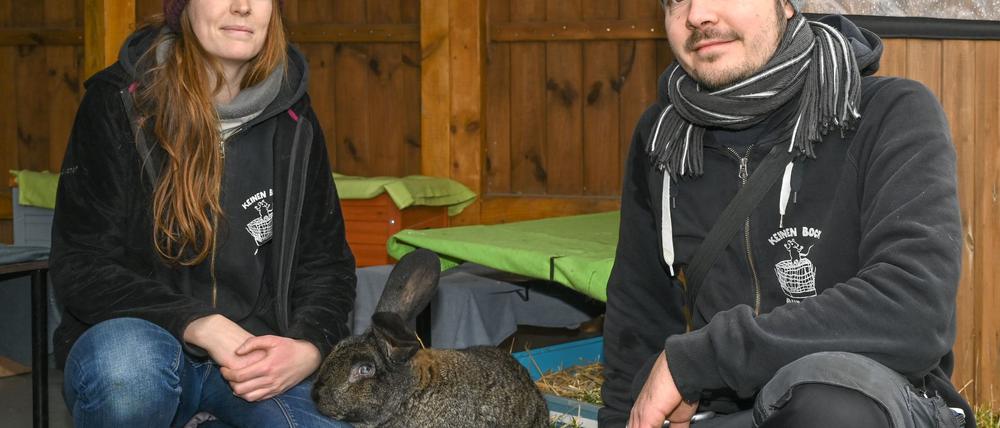 Natascha Junker und Rico Gürtler haben den gemeinnützigen Verein Burg Nagezahn gegründet. Im brandenburgischen Werneuchen hat der Verein ein Gelände, wo Nagetiere und Kaninchen in Not ein Zuhause finden können. (Archivbild)