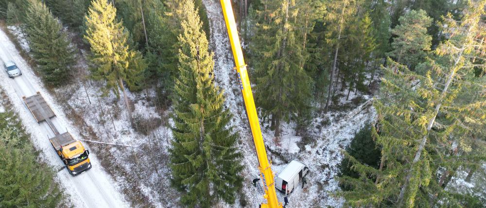 Thüringen schickt in diesem Jahr erneut einen Weihnachtsbaum nach Berlin.