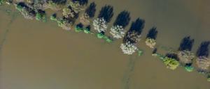 Vom Hochwasser des Flusses Oder sind Wiesen vor der Stadt Frankfurt (Oder) überflutet.
