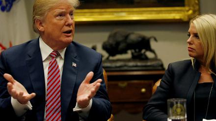 Der gewählte US-Präsident Donald Trump.