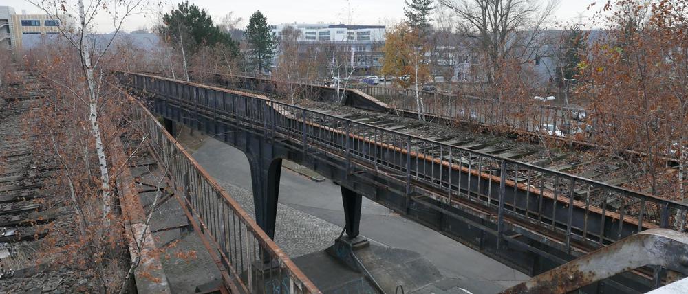 Die maroden Reste der Siemensbahn in Berlin.