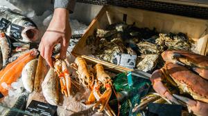 Frisch gefischt, Markthalle Neun, Kreuzberg