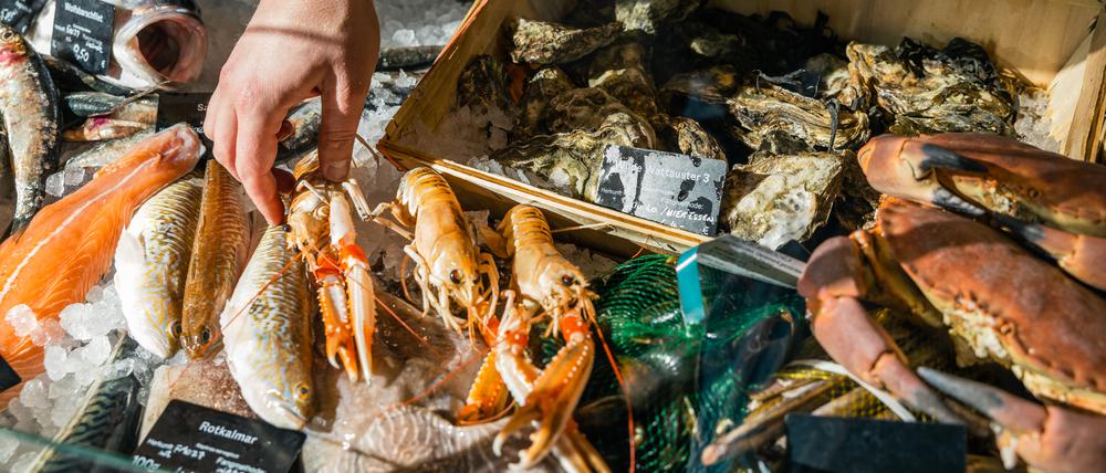 Frisch gefischt, Markthalle Neun, Kreuzberg