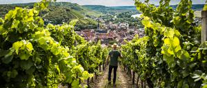 erlebe.bayern