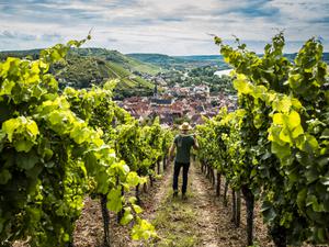 erlebe.bayern