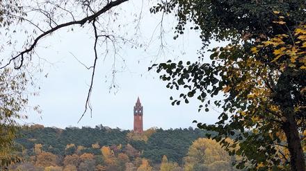 Der Grunewaldturm ist steter Begleiter bei der Wanderung entlang des Havelufers.