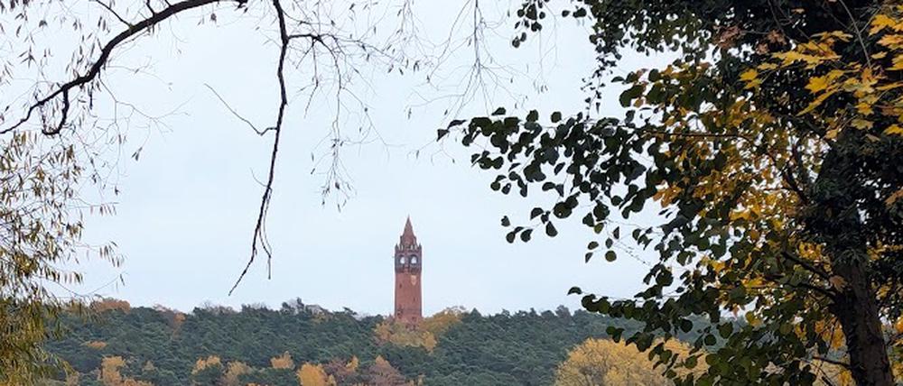 Der Grunewaldturm ist steter Begleiter bei der Wanderung entlang des Havelufers.