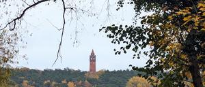 Der Grunewaldturm ist steter Begleiter bei der Wanderung entlang des Havelufers.