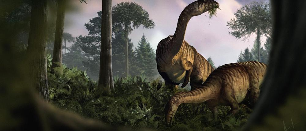 Anhand von versteinertem Kot, Erbrochenem und Darminhalten haben Fachleute die frühe Entwicklung der Dinosaurier rekonstruiert.