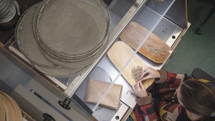 Blick in die Saatgutbank Dahlem