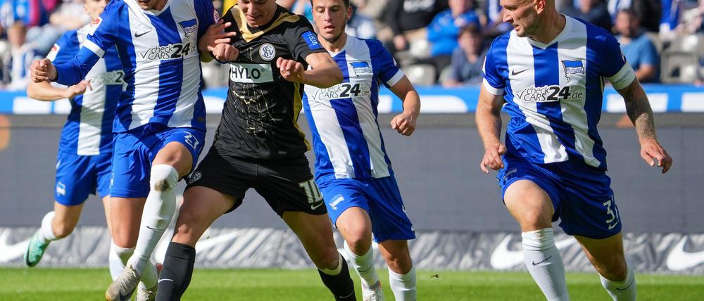 Toni Leistner (r) und Diego Demme (2.v.r.) sollen der jungen Hertha-Mannschaft Struktur verleihen.