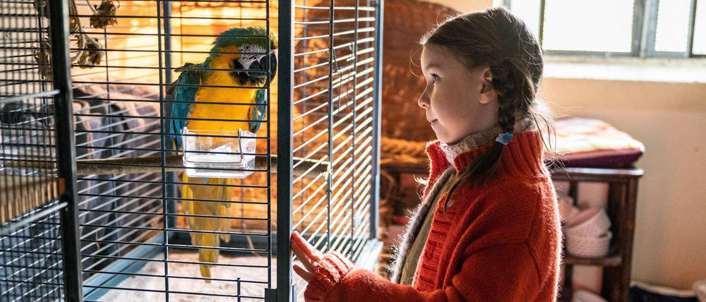 Papagei Marlene stellt mit seinen Nazi-Parolen eine ganze Familie auf den Kopf.