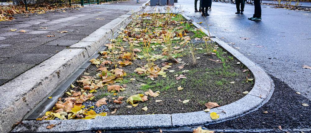 Die ersten grünen Gullys in der Singerstraße in Berlin-Mitte gehen in Betrieb.